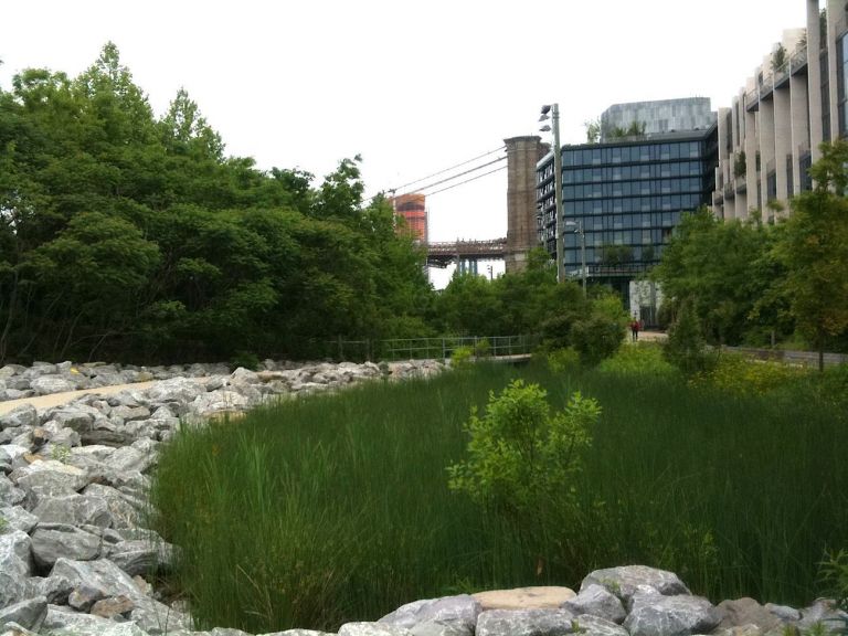 Brooklyn Bridge Park. Photo Claudia Zanfi