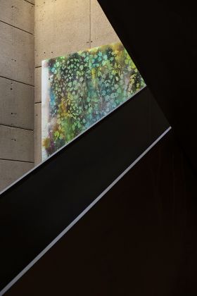 Sam Falls, “Untitled (Antinori)” per Antinori Art Project – Photo Courtesy Marchesi Antinori