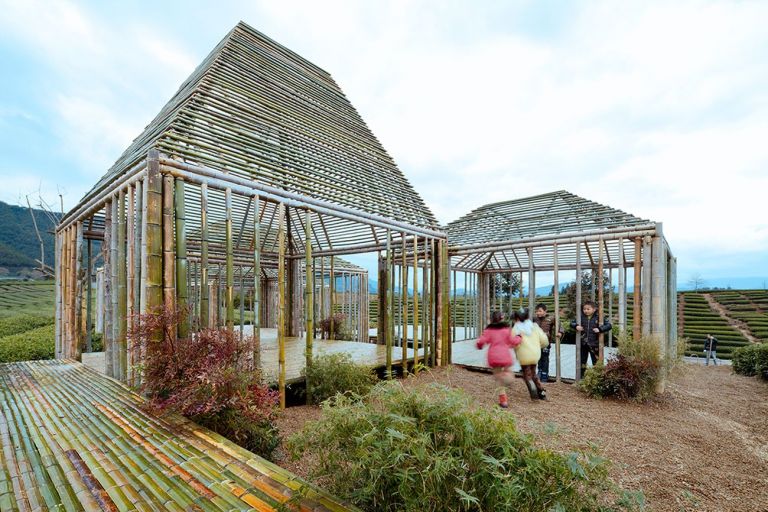 DnA, Bamboo Pavilion, Damushan Tea Plantation. Photo © Zhou Ruogu