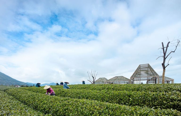 DnA, Bamboo Pavilion, Damushan Tea Plantation. Photo © Wang Ziling