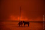 Evacuated © Wally Skalij, Los Angeles Times