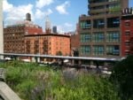 High Line, New York. Photo Claudia Zanfi