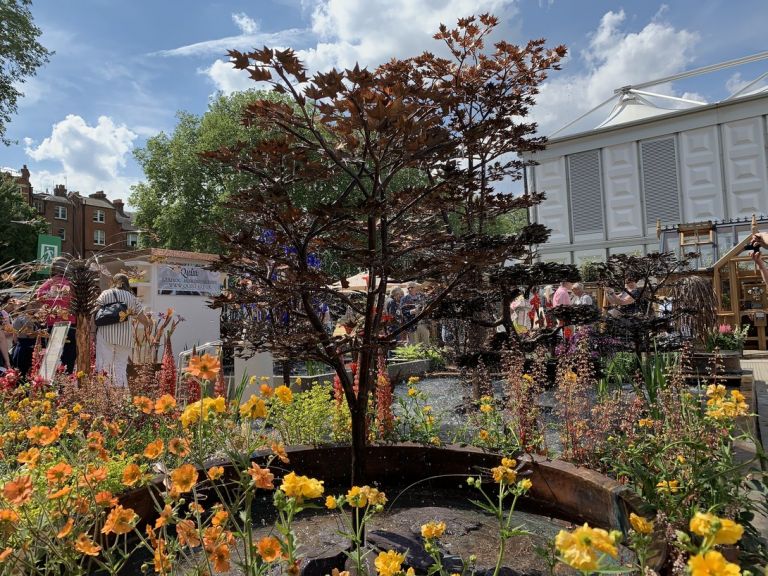 Immagini dal Chelsea Flower di Londra