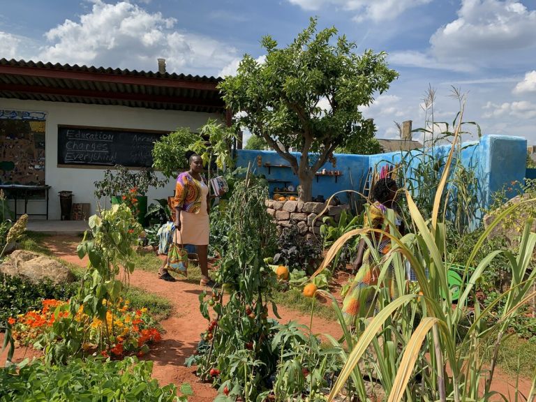 Immagini dal Chelsea Flower Show di Londra