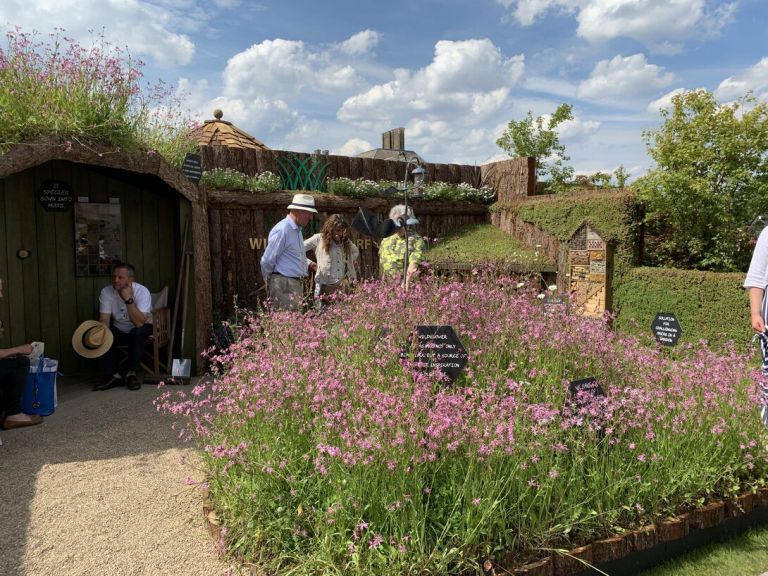 Immagini dal Chelsea Flower Show di Londra