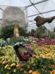 Immagini dal Chelsea Flower Show di Londra