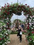 Immagini dal Chelsea Flower Show di Londra