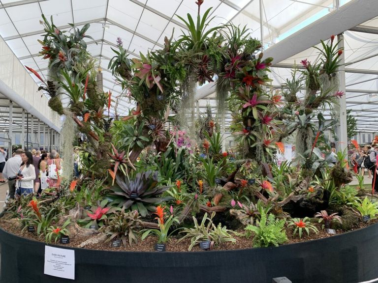 Immagini dal Chelsea Flower Show di Londra