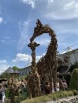 Immagini dal Chelsea Flower Show di Londra