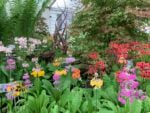 Immagini dal Chelsea Flower Show di Londra