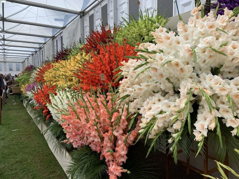 Immagini dal Chelsea Flower Show di Londra