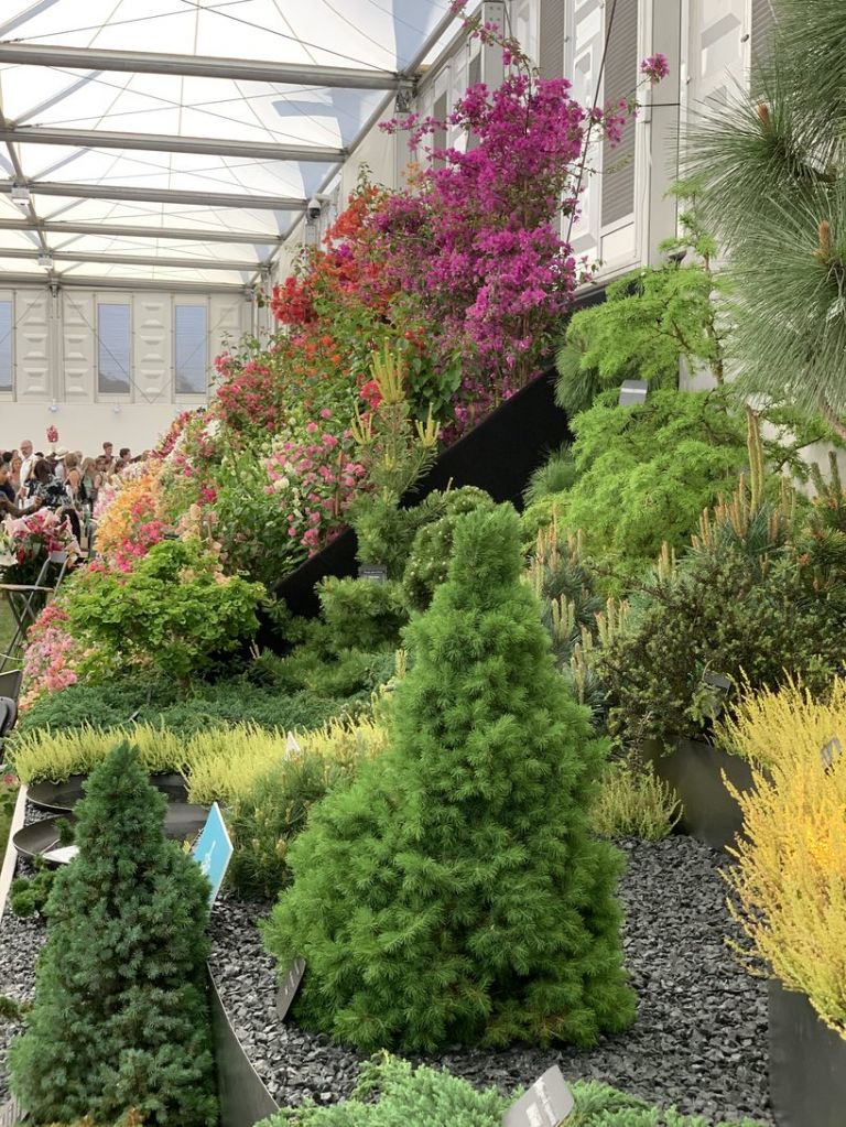 Immagini dal Chelsea Flower Show di Londra