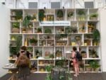 Immagini dal Chelsea Flower Show di Londra