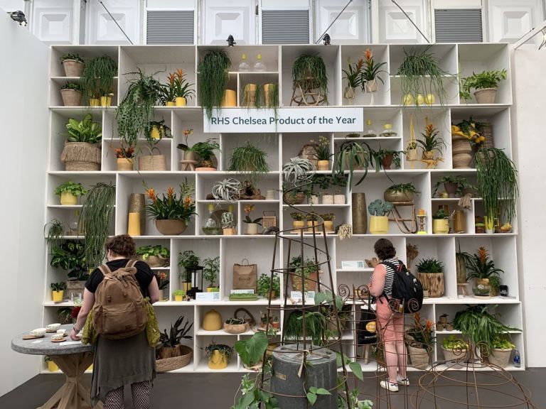 Immagini dal Chelsea Flower Show di Londra