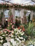 Immagini dal Chelsea Flower Show di Londra