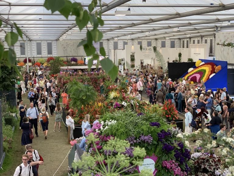 Immagini dal Chelsea Flower Show di Londra