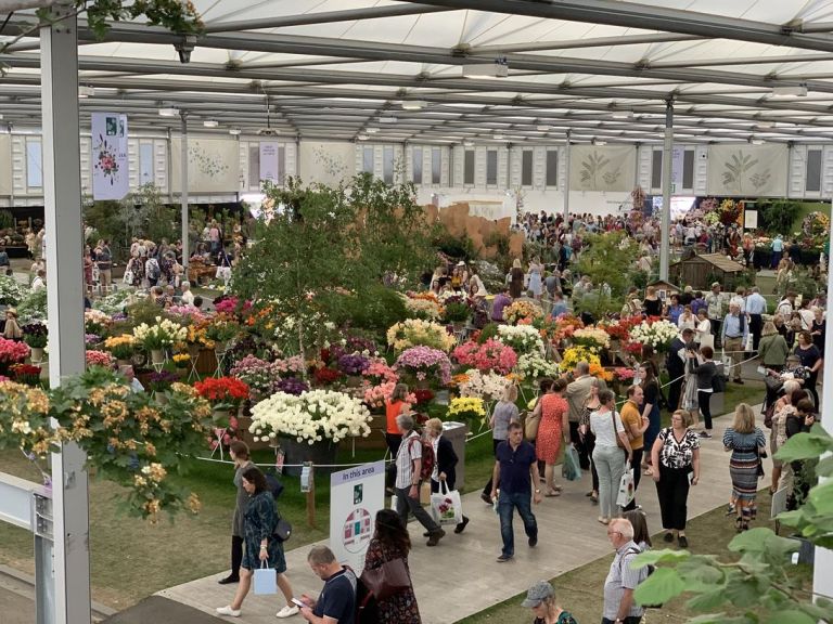 Immagini dal Chelsea Flower Show di Londra