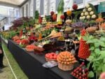 Immagini dal Chelsea Flower Show di Londra