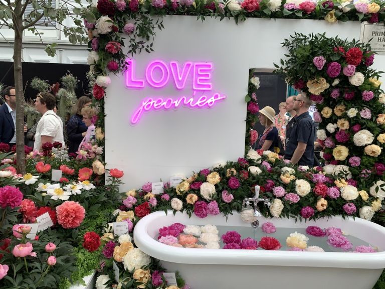 Foto dal Chelsea Flower Show di Londra. (Col giardino di Kate Middleton)