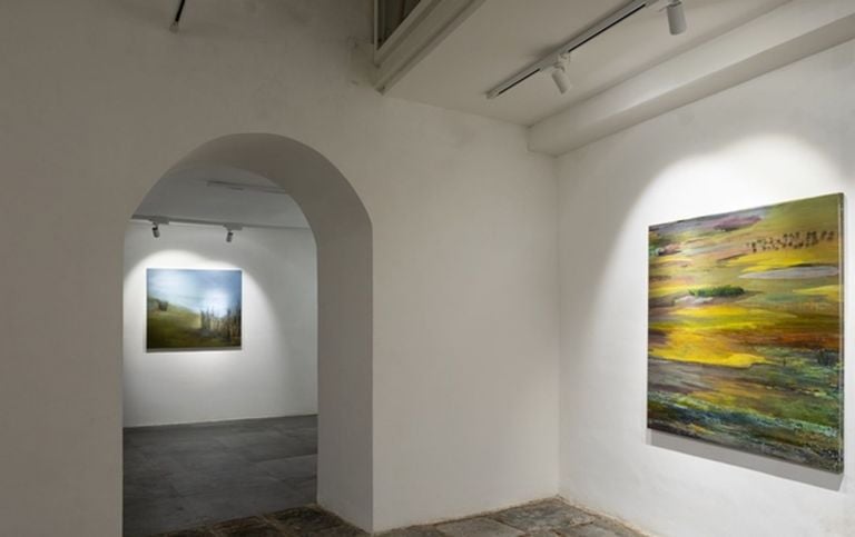 Mutaz Mohamed Elemam. Dream Scape from River. Installation view at Shazar Gallery, Napoli 2019. Photo Danilo Donzelli