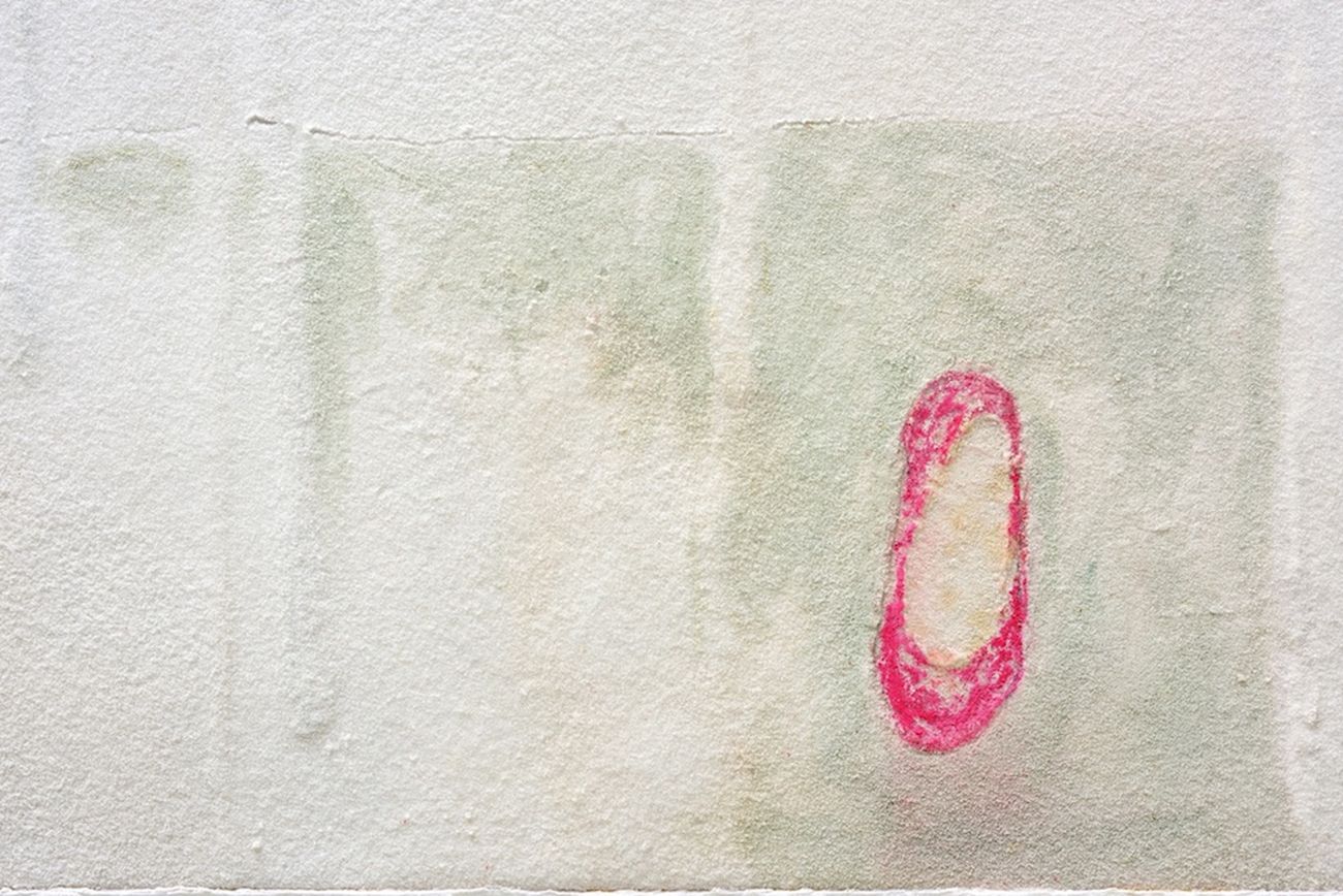 Pier Paolo Calzolari, Haïku [Scarpetta rosa], 2017, dettaglio. Collezione privata, Lisbona. Photo © Michele Alberto Sereni