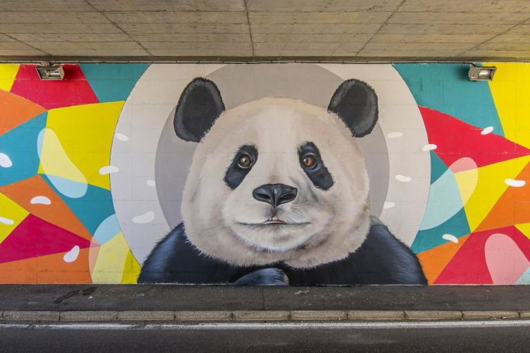 Refreshink, Panda, progetto di arte partecipata con l'associazione Naturart, Cavaria (VA) 2019. Photo Diwellington Tiziani