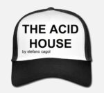 Stefano Cagol, The Acid House (Litmus Test), 2019