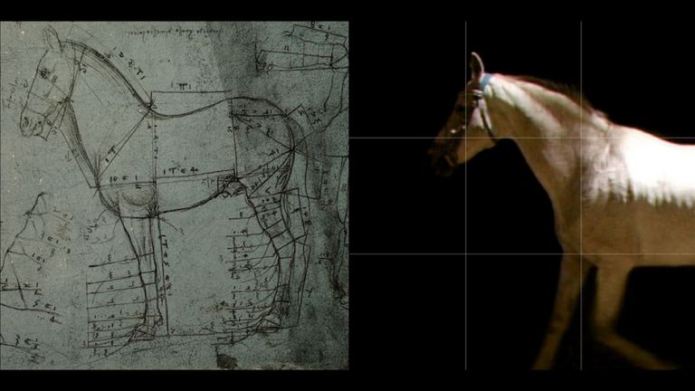 Studio Azzurro, Leonardo, Osservazioni sulla Natura, Cavalli. frame da video, 2019