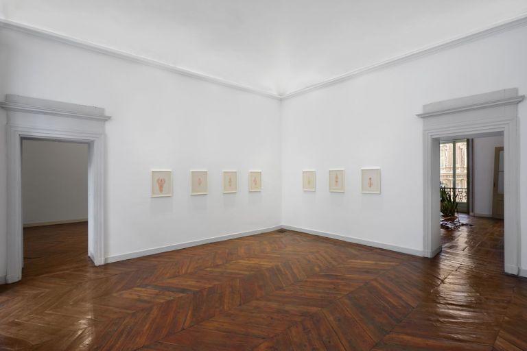 Tunga. Exhibition view at Galleria Franco Noero, Torino 2019. Photo Sebastiano Pellion di Persano