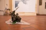 Un'opera di Bekhbaatar Enkhtur realizzata durante la mostra La pratica quotidiana, Oratorio di San Sebastiano, Forlì 2019. Photo Gianluca Camporesi