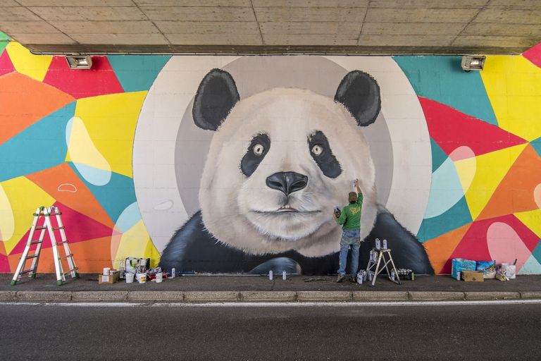 Work in progress per “Panda”, progetto di arte partecipata con l'associazione Naturart, Cavaria (VA) 2019. Photo Diwellington Tiziani
