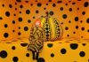 Yayoi Kusama