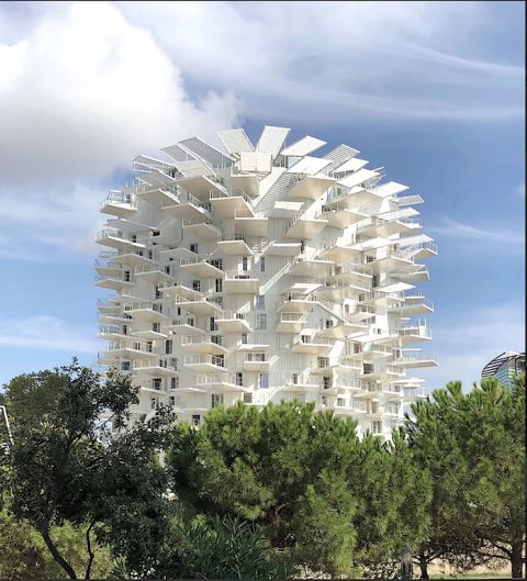Montpellier, White Tree by Sou Fujimoto, ph C Zanfi