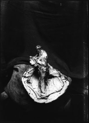 Uomo che legge. Stampa moderna a contatto da negativo originale su vetro, 24 x 18 cm, ante 1910