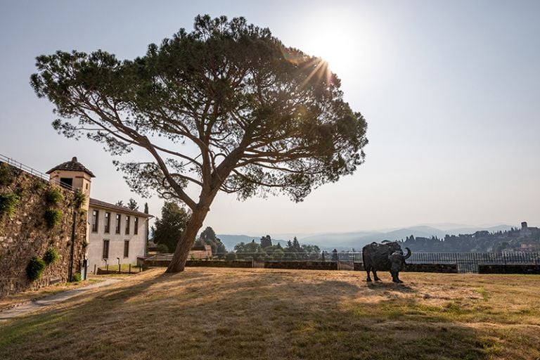 Davide Rivalta. My land. Installation view at Forte di Belvedere, Firenze 2019. Photo © Nicola Neri