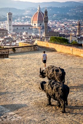 Davide Rivalta. My land. Installation view at Forte di Belvedere, Firenze 2019. Photo © Nicola Neri