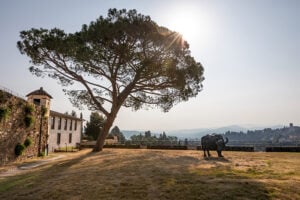 La nuova politica culturale di Firenze. Intervista a Tommaso Sacchi