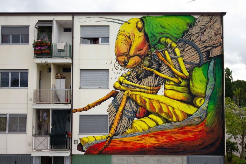 Curare la Street Art. Intervista a Marco Miccoli