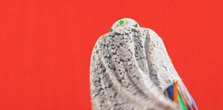 Formafantasma, Archive P5 – Visione Unica. Cultures of Environmental Manipulation, I-DEA Matera European Capital of Culture, 2019. Dettaglio della copertina del secondo fascicolo della guida di Artribune Magazine a Matera 2019