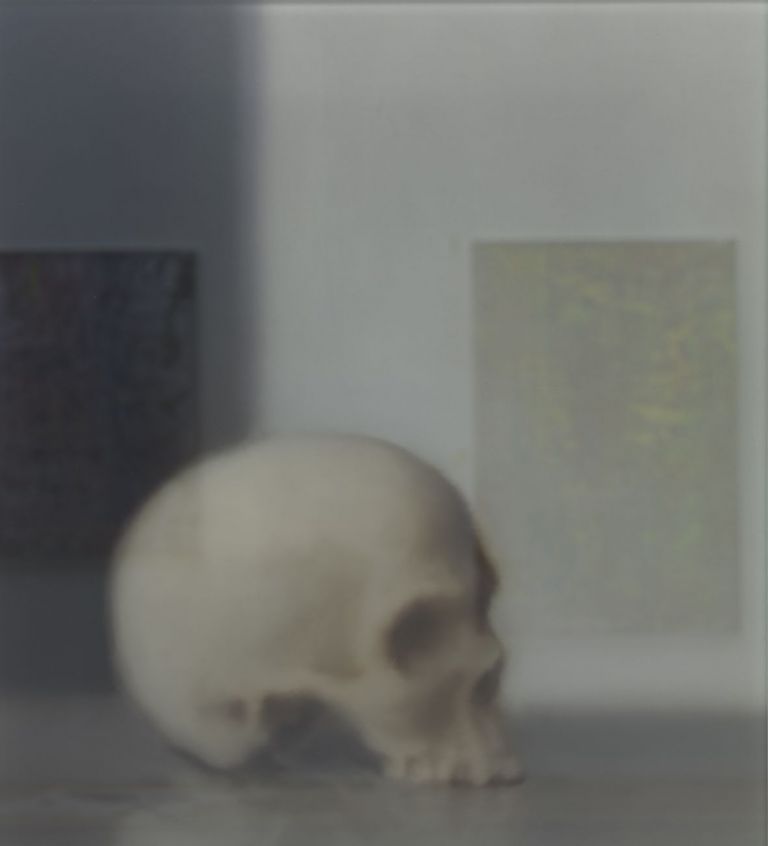 Gerhard Richter, Teschio, 2017. Collezione privata
