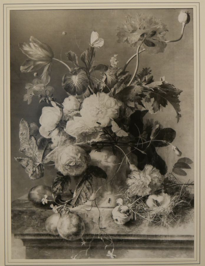 Jan van Huysum, Vaso di fiori, olio su tela, 47 x 35 cm (già collezione Palazzo Pitti, Firenze); riproduzione d'archivio in bianco e nero