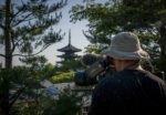 Kodaiji Temple Kyoto, Van Gogh & Japan © EXHIBITION ON SCREEN (David Bickerstaff)