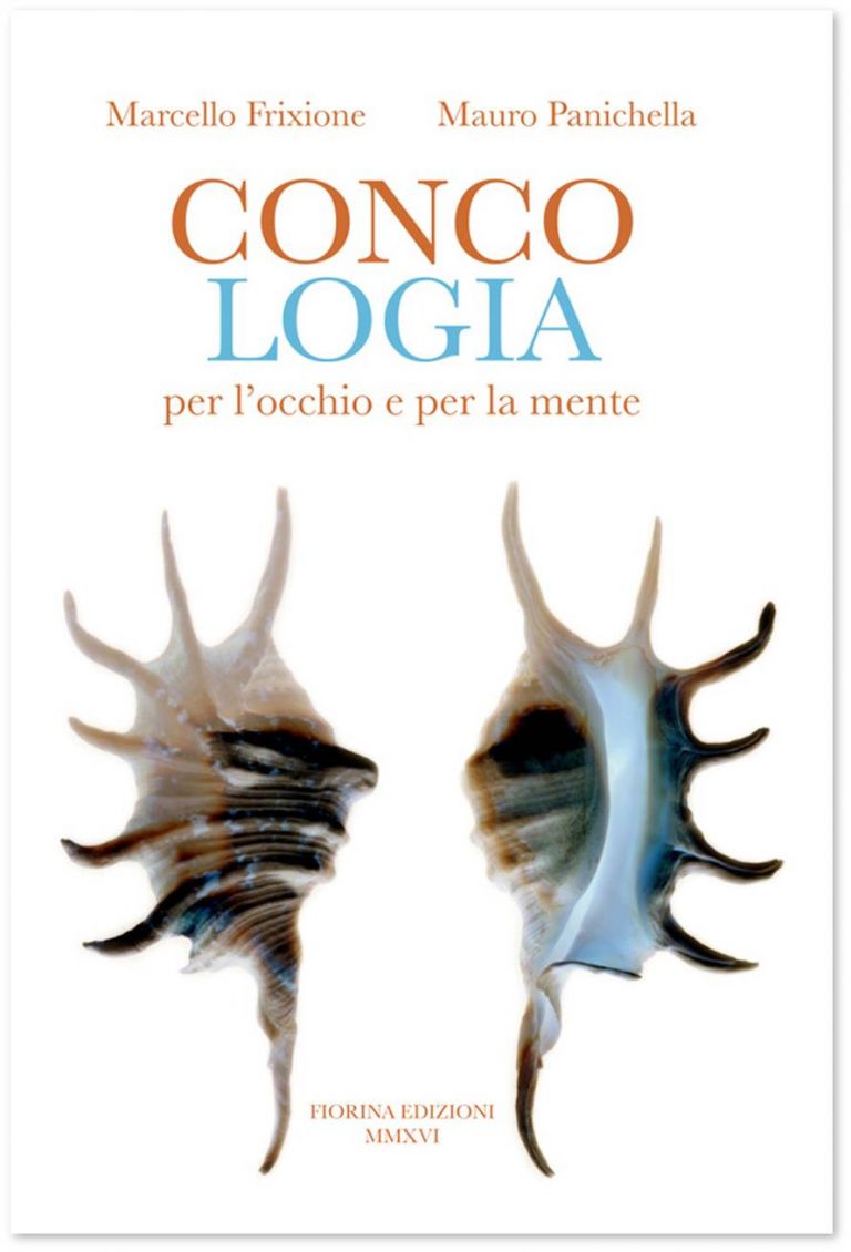 Marcello Frixione, Mauro Panichella, Concologia per l’occhio e per la mente, leporello (Fiorina Edizioni, 2016)