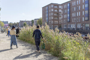 One flower, one leaf. Il progetto di Martina della Valle sul verde urbano