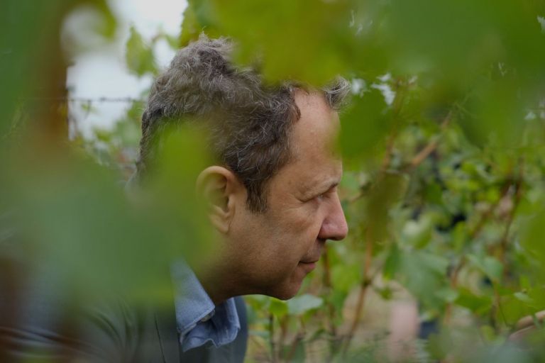 Vik Muniz tra i filari dei vigneti Ruinart a Reims