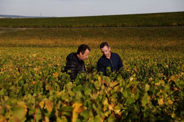 Vik Muniz tra i filari dei vigneti Ruinart a Reims