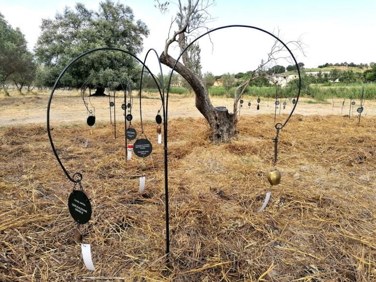 Yuval Avital, Il Giardino dei Sonagli, 2019. MULINUM, San Floro. Photo Giovanni Viceconte