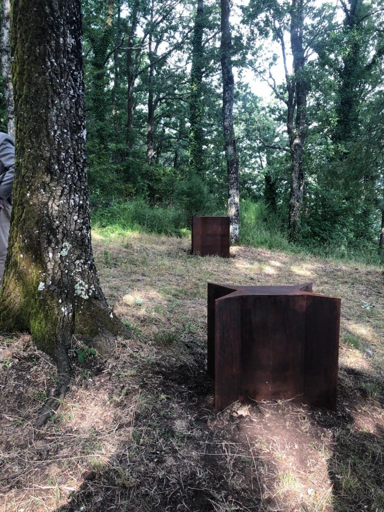 Matteo Nasini, Campo sintonico, photo riccardo muzzi