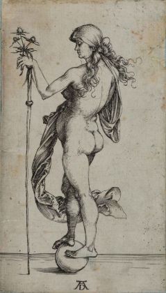 Albrecht Dürer, La piccola Fortuna, incisione a bulino, 113x65 mm. Collezione Remondini