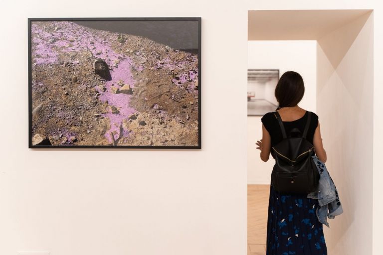 Arte Povera. Installation view at Musei Civici, Cagliari 2019. Photo Giorgio Marturana